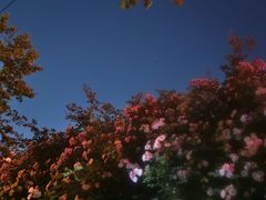 -港澳广场购物中心