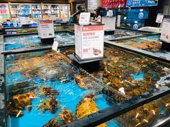 水产区-盒马鲜生(皇庭广场店)