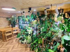 -Rabbit Cafe私房西餐甜点咖啡(栖霞路店)