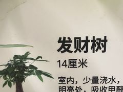 -IKEA宜家家居(南京商场)