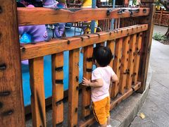 -晓港公园