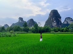 -明仕田园