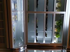 -甲大帅·甲鱼·椰子鸡主题餐厅(唐家店)