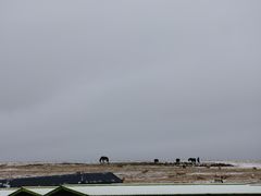 -扁都口生态休闲旅游区