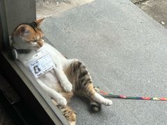 -Again Coffee Roaster(香蜜湖店)