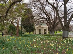-墨尔本皇家植物园