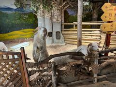 -正佳雨林生态植物园