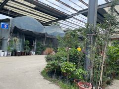 -金科花卉市场