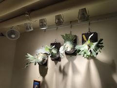 -LouisTime路易时光(蕴川路店)