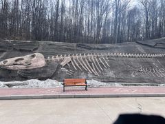 -哈尔滨北方森林动物园