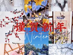 -无锡梅园公园