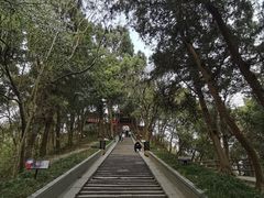 -子昂故里文化旅游区
