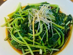 -滇铺子·云南特色菜·第九届野生菌美食节(东风东路c86店)