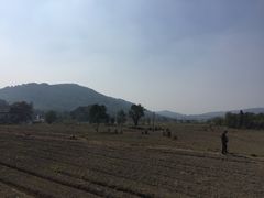 景区内的田野-塔川景区