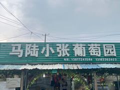 -马陆小张葡萄园农家乐