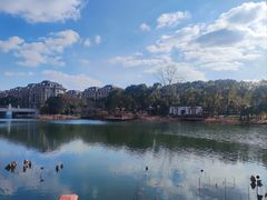 -新江湾城公园