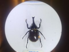 -香港科学馆