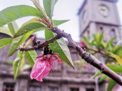 -半岛1919创意园区