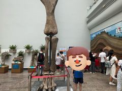 -自贡恐龙博物馆