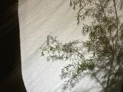 -苏州本色美术馆