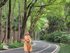 -采石矶景区