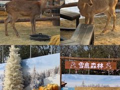 -盈香心动乐园
