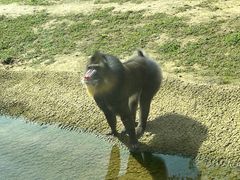 -杭州野生动物世界