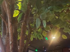 -同仁四季椰子鸡(宝安壹方城店)