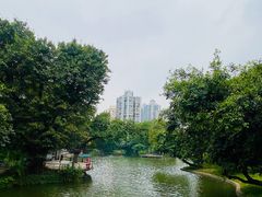 -晓港公园
