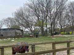 -苏州太湖西山岛开心农场