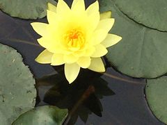 -华南国家植物园-售票处