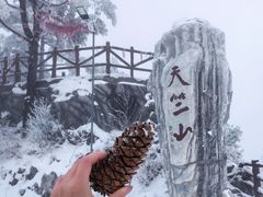 -秦岭天竺山景区