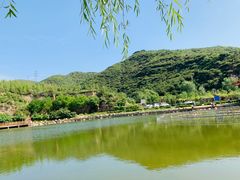 -五龙城郊森林公园