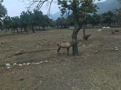 -西安秦岭野生动物园