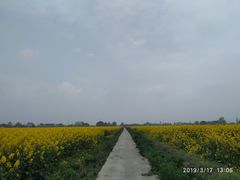 -中国天府农业博览园