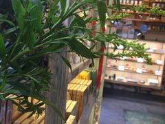 -猫的天空之城概念书店(西塘古镇店)