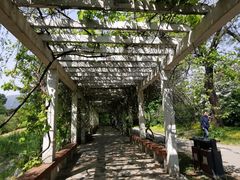 -国家植物园南园