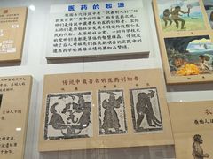 -北京中医药大学-中医药博物馆