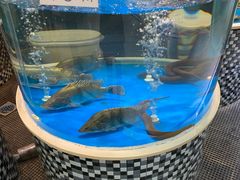 -蓬川食府(金海道店)