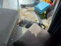 -祝管家·高端住家保姆月嫂育儿嫂(闵行店)