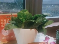 -喃喃椰·糟粕醋·椰子鸡火锅(七堡花园店)