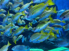 -海合安成都极地海洋公园
