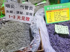 -中国农业博物馆