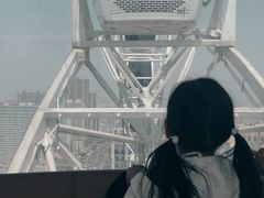 -泰盛楼顶摩天轮