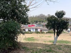 -巢湖姥山岛