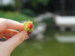 -扬州瘦西湖汇金酒店