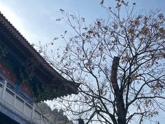 -终南山南五台景区