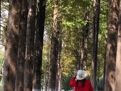 -金银湖国家城市湿地公园