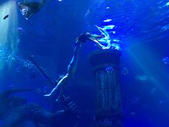 -波塞冬旅游度假区