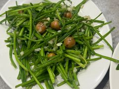 树子水莲-文章牛肉汤